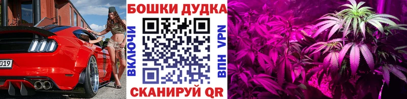Купить  Ставрополь  Конопля сатива 